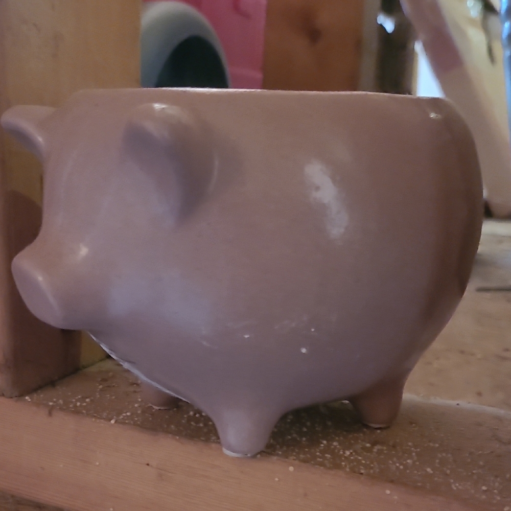 Ceramic Pig Planter - Brown